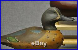TRIO of TEAL East Coast duck decoy decoys cinnamon, blue-wing, green-wing teal
