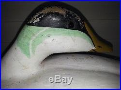 Turned Head Eider Duck Decoy From Maine