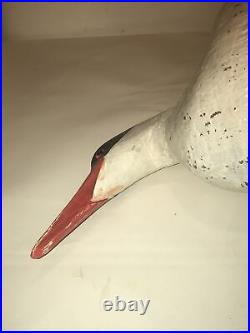 Tern shorebird confidence decoy duck factory vintage glass eye