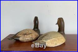 Torry Ward Gunned Over Drake & Hen Canvasback Decoys Hand Carved 1981