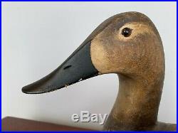 Torry Ward Gunned Over Drake & Hen Canvasback Decoys Hand Carved 1981