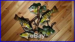 Trophy perch, bluegill woodcarving, duck decoy, fish decoy, Casey Edwards