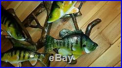 Trophy perch, bluegill woodcarving, duck decoy, fish decoy, Casey Edwards