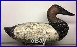 Unknown Havre de Grace Maryland Canvasback Drake Decoy