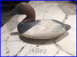 Upper Bay Mitchell Repaint Canvasback Decoy Body Is From Cecil Co Md