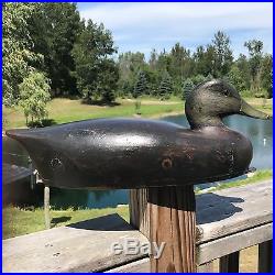 VERY RARE,  long-bodied low-head black duck (hayes finkle)1876-1953 michigan