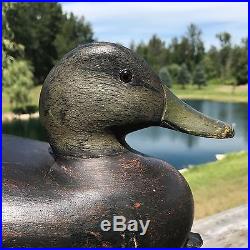VERY RARE,  long-bodied low-head black duck (hayes finkle)1876-1953 michigan
