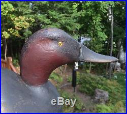 Vintage Charles Unger Canvasback Drake Duck Decoy Hollow Michigan Very Early