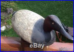 Vintage Charles Unger Canvasback Drake Duck Decoy Hollow Michigan Very Early