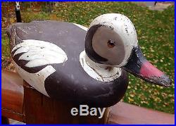 Vintage D. W. (davey) Nichol Drake Old Squaw Duck Decoy Very Rare Species Ontario