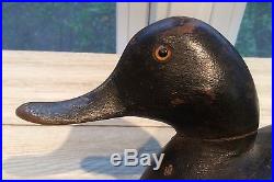 Vintage George Warin Drake Bluebill Duck Decoy Original Paint Fine Form Ontario