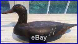 Vintage Long Point Black Duck Decoy Hollow-carved All Original Paint Ontario