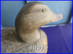 VINTAGE MALLARD HEN WORKING DECOY! BEN SCHMIDT 1884-1968, MICH 1st paint