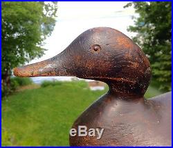 Vintage Mason Factory Hen Merganser Duck Decoy Mostly Op Interesting Head Form
