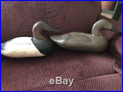 VINTAGE Pair Of Canvasbacks DECOY by Paul Gibson HAND CARVED & PAINTED