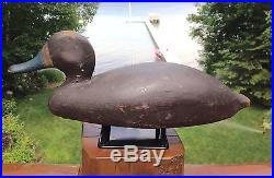 Vintage William Finch Hen Bluebill Duck Decoy Exc. Original Paint Saginaw Bay