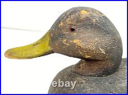 VTG 50's Wooden Duck Decoy Hand Carved 17 Long Glass Eyes Mallard Hen Lifelike