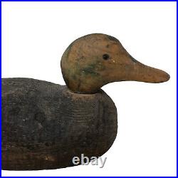 VTG Wooden Duck Decoy Rigid Movable Head Canvasback