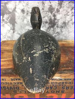 Very Hollow John Rice Wells Hen bluebill Duck Decoy Branded W Great Form