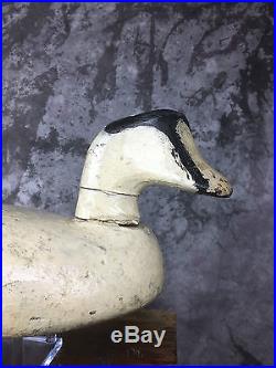 Very Old Common Eider Drake Duck Decoy from Nova Scotia Canada Maritime