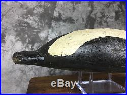 Very Old Common Eider Drake Duck Decoy from Nova Scotia Canada Maritime