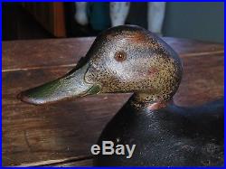 Very Rare Mason 1895 Premier Black Duck Decoy Turned Head Pic In Mason Bk