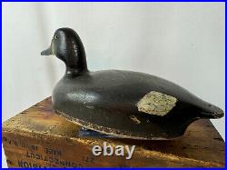 Very Scarce and Hollow Judge Mummery Hen Bluebill Duck Decoy