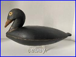 Vint. American Scoter Duck Decoy, Glass Eyes, Notched Tail, Hollow, Seamed Body