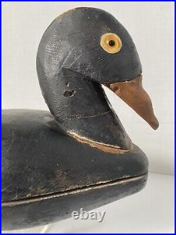 Vint. American Scoter Duck Decoy, Glass Eyes, Notched Tail, Hollow, Seamed Body