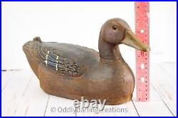 Vintage 1930's Herter's Model Perfect Mallard Hen Duck Decoy Original Paint