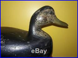 Vintage 1930s Carl Lewis Ocean City NJ Black Duck Decoy Beautiful Scratch Paint