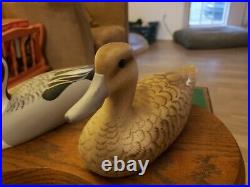 Vintage 93 Pintail Hand Carved Painted Hen & Drake Derby Class Winner Duck Decoy