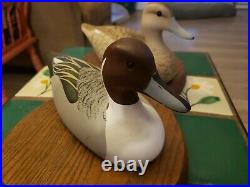 Vintage 93 Pintail Hand Carved Painted Hen & Drake Derby Class Winner Duck Decoy