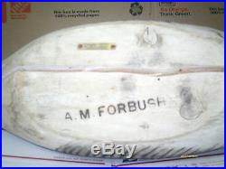 Vintage A. M. Forbush Canadian Goose decoy