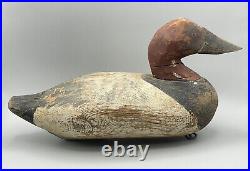 Vintage Antique Canvasback Drake Duck Decoy Havre De Grace Maryland Large