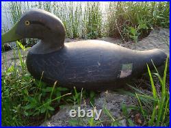 Vintage Black Duck Decoy Madison Mitchell or Havre de Grace Harry Jobes