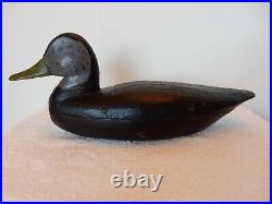 Vintage Black Duck Wood Decoy New Jersey, Hollow Carved, Circa 1890