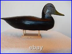 Vintage Black Duck Wood Decoy New Jersey, Hollow Carved, Circa 1890