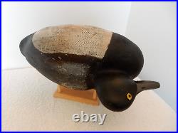 Vintage Black Duck Wood Decoy SNUGGLE HEAD BOBTAIL DAVE HODGMAN NILES MICHIGAN