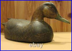 Vintage Black Mallard Old Working Duck Decoy Original Paint by Danny Lee Heuer