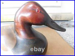 Vintage Bob Hayden Signed Drake Canvasback Carved Wood Duck Decoy Full Size