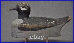 Vintage Bufflehead hen duck decoy decoys original paint unknown maker