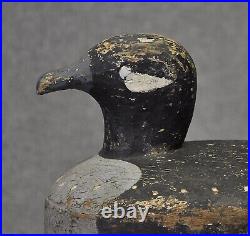 Vintage Bufflehead hen duck decoy decoys original paint unknown maker