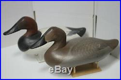 Vintage Canvasback Decoy Pair by R. Madison Mitchell Signed and Dated 1953