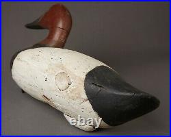 Vintage Canvasback Drake Duck Decoy By Unknown East Coast Carver
