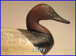 Vintage Canvasback Drake Duck Decoy by James Holly BRANDED ca. 1900's