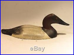 Vintage Canvasback Drake Iron Sink Box Duck Decoy by Paul Gibson O. P. Ca. 1940's