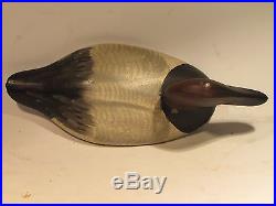 Vintage Canvasback Drake Iron Sink Box Duck Decoy by Paul Gibson O. P. Ca. 1940's