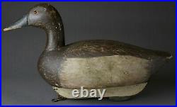 Vintage Canvasback Hen Duck Decoy By Unknown Carver