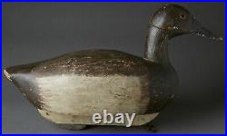 Vintage Canvasback Hen Duck Decoy By Unknown Carver